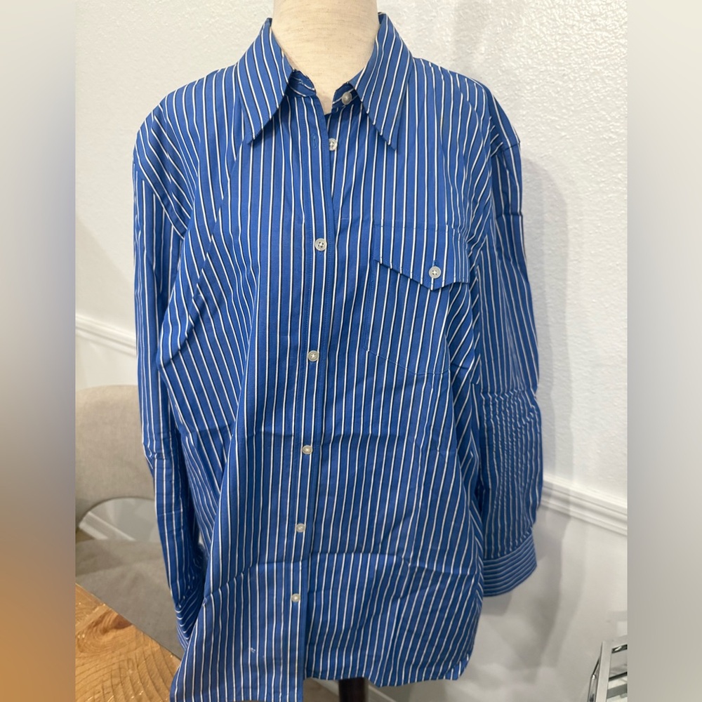 Ralph Lauren Blue and White Striped Casual Shirt
